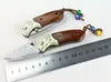 High Quality Damascus Pocket Folding Knife VG10 Damascus Steel Blade Red Ebony + Brass Handle Gift Knives With Nylon Bag