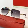 Männer klassische Marke Doppel Nase Bridge Schraube Dekorieren Sie Sonnenbrillen Gradientenfarbe REDLEZEN MULTICOLOR -Linsen Fashion Gläses9958123