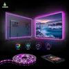 LED Şerit Işıkları 1 M 2 M 5 M Bluetooth Müzik USB Powered TV Şeritleri 5050 DC 5 V Neon Şerit Arka Plan Aydınlatma Denetleyicisi ile