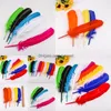 Decoração de festa Diy Colar de penas Brincho de cabelo Chapeira decoração bdenet yiwu color penas fogo frango tingido ninho capuz de caneta especial ma jllvaz