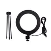 8 tum diameter 20 cm Live Fill Light Desktop TripoD 13W 5V 84LED 2835 LAMP PEADS VIT LJUS USB -anslutning Dimbar ringljus