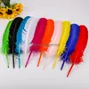 Party Decoration Diy Feather Necklace Earring Hair Hat Decor Bdenet Yiwu Color Feathers Fire Chicken Dyed Nest Hood Do Pen Special Ma jllvAZ