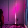 RGB LED Acryl -vloerlampen Bluetooth Diming Rod hoeklicht voor woonkamer slaapkamer sfeer staande binnenlicht