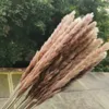 45pcs / 45 cm, colore naturale secco piccolo bulrush erba erba fiore fiore, ins pampas phragmites festa di nozze decorazione floreale f1217