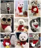 Eşarp Pet Noel Örme Eşarp Köpek Köpek Aksesuarları Kırmızı Gri Yeşil Kış Sıcak Tatil Köpek Süsler