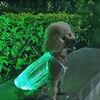 LED świecące Cat Apparel Dog Dog Rechargeable Kolorowe Anti-Luminous Luminous Pet Supplies