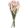 15pcs Natural Dried Wedding Flower Pink Christmas Valentine's Day Gift Wedding Touch Decor Gift Bouquet Y1128