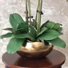1 Zestaw wysokiej jakości orchidee aranżacja lateksowy silikon prawdziwy dotyk duży rozmiar luksusowy stół kwiat Home Hotel Decor No wazon 201222