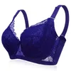 Reggiseno Plus Size Reggiseni push-up in pizzo per donna Biancheria intima sottile con ferretto a coppa piena 201202