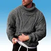 Fashion-Casual-Pullover Männer Strickwinne Winter Herbst 2023 Pullover Pullover Männliche Plus-Größe Schildkrötenhals Strickpullover Man234i