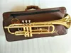 Helt ny professionell LT18043 BB Trumpet Instruments Golden Carved Brass Musical Instrument BB Trumpet 8618331