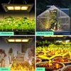 Gorący sprzedawanie 450W Square Pełna Spectrum Led Grow Light Black High Efficiency COB Technologia Wodoodporna Grow Lights CE FCC Rohs