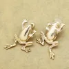 Stud Tribal Fairytale Big Frogan Animale Frog Toad Art Deco Stalls Orecchini in oro Plugietto Vestite Vestite Costume Gothic19066386