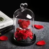 Eternal Preserved Fresh Rose Lovely Teddy Bear Molding Led Light In A Flask Immortal Rose Valentine's Day Mother's Day G254m