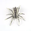 Spider Topwater Bit Soft Plastic Fishing Lure Spider Topwater Bait Soft Plastic Fishing Lure 5 colors available5850785