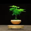 Magnetisk leviterande krukväxt växt luft bonsai potten levitation växter planter blomkrukor saftiga växt för hemmakontor dekor y200728313910