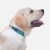犬の襟パーソナライズされたカスタムレザー犬の襟名IDタグ小さい中犬のタグPitbull Bulldog Beagle Correa Perro LJ201202