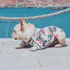 小さな犬のための犬の服フレンチブルドッグの夏のシャツの夏のシャツのコートペットパグジャケットドッグアパレルXS-XXL T200710