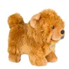 Aurora Toys Chow Chow Doll Frize Puppy puppy animal cog toy toy cute simulation pets fluffy dolfy hisbrics lj21247514