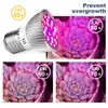 Rabat Lampy Fito Pełna Spectrum E27 LED Plant Light Grow Lampa E14 LED dla roślin 18 W 28W Fitolampy Namiot Greenhouse Bulbs UV IR