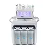 Lager in den USA Neues Produkt Sauerstoff H2O2 Small Bubble Beauty Device Deep Clean Hydra Dermabrasion Hautverjüngung Gesichtsmaschine