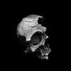 Подвесные ожерелья серебряный цвет разбитый поврежденную половину лица черепа Skull Men039s модный байкер рок -панк украшения дружба подарки1300684