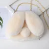 HBP-offre chaude 2021 nouveau sac à bandoulière en fausse fourrure d'hiver pour femmes sacs à main en peluche dame sac à bandoulière à longues oreilles lapin messager Bolso