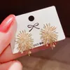 Stud Ins Zircon Fireworks Luxury 14k Real Gold Earrings for Women Cubic ZC