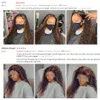 Lang Braziliaans haar Kinky Curly Lace Front Wigs Highlighted Ombre Brown volledige pruik Hittebestendige vezel Natuurlijke synthetische pruik voor vrouwen