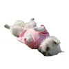Semplice abbigliamento per cani da compagnia a molla calda cucciolo maglione con cappuccio orsacchiotto schnauzer bichon costume da cani sportivi all'aperto