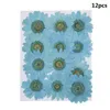 Decorative Flowers & Wreaths 12PCS/Bag Pressed Daisy Dried Flower Pendant Necklace Resin Jewelry Making DIY Crafts Art