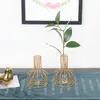 Vazen ijzeren lijn vaas hydrocultuur planten bloem metalen houder Nordic Styles Tabletop Home Decoration accessoires Modern