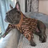 Köpek Kazak Lüks Tasarımcı Köpek Giysileri Orta Köpekler Için Sıcak Fransız Bulldog Schnauzer Corgi Yün Kıyafetleri Pet Kostüm ZY3017 211106