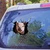 Wall Stickers Creative Pig Crack Car Sticker Horse Dog Animals Pet Funny Puppy Home Decoration Decal Party Window Paste