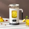 mini electric tea kettle