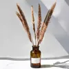 Ghirlande di fiori decorativi 15PCS Bouquet di fiori di canna essiccati naturali colorati Pampas Erba Phragmites Bouquet per la moderna casa di nozze Decorati