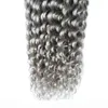 Tessuto capelli grigi hari ricci crespi brasiliani Tessuto capelli umani grigio argento 100g estensioni capelli grigi vergini ricci brasiliani 1PC6880061