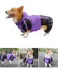 Vêtements pour chiens combinaison vêtements imperméables Pembroke gallois chien imperméable à capuche veste de pluie livraison directe tenue pour animaux de compagnie