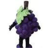 Costume de mascotte de raisins violets d'Halloween de haute qualité, dessin animé de fruits en peluche, personnage de thème animé, taille adulte, fête d'anniversaire de Noël, tenue d'extérieur