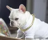 Colliers pour chiens, laisses, chaîne en métal à la mode, collier d'entraînement robuste pour animaux de compagnie Pitbull, pour petits, moyens et grands chiens cubains