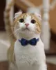 Cute Bowtie Cat Collar Breakaway z Bell Plaid Zestaw do Kitty Puppy Regulowane kołnierze bezpieczeństwa 7.8-10.2 24 Kolor wyprzedaż L