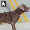 Truelove Double H Pet Hond Reflecterende harnas Geschikt voor grote, middelgrote en kleine honden Comfortabele draagbare TLH6571 210712