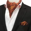 Erkekler Jakarlı Cep Kare Damat Düğün Smokin Cravat Ascot Scrunch Kravat Paisley Çiçek Geometrik Boyun Kravat Mendil Seti