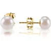 2021 Ny ankomst Fancy Stainls Steel Earring Pearl Stud örhängen45243789872326