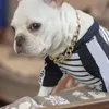 犬の首輪のLeashesファッションメタルチェーンカラーヘビーデューティトレーニングピットブルペットのネックレスの小さな中犬のキューバ