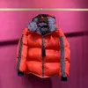 Jaqueta masculina feminina Down Dowm Casual Parkas Feather Doudoune Casacos à prova de vento Outerwear Destacável