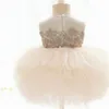 Flower Girl Dresses Embroidered Fluffy Skirt Princess for Party Wedding Baby Clothes 0-8Y HM001 210610