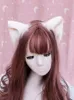 Akcesoria do włosów Kawaii Anime Lolita Cosplay Fancy Cat Ears Clip, Klipy Halloween Party Pałąk Kostium Nakrycia głowy
