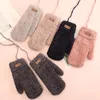 Fingerless Handskar 2021 Autumn Winter Style Finger Plus Velvet Thowrening Couplr