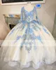 Blauwe en roze prinses quinceanera jurken 2021 kant geappliceerd schep lace-up corset terug prom sweet 16 jurk